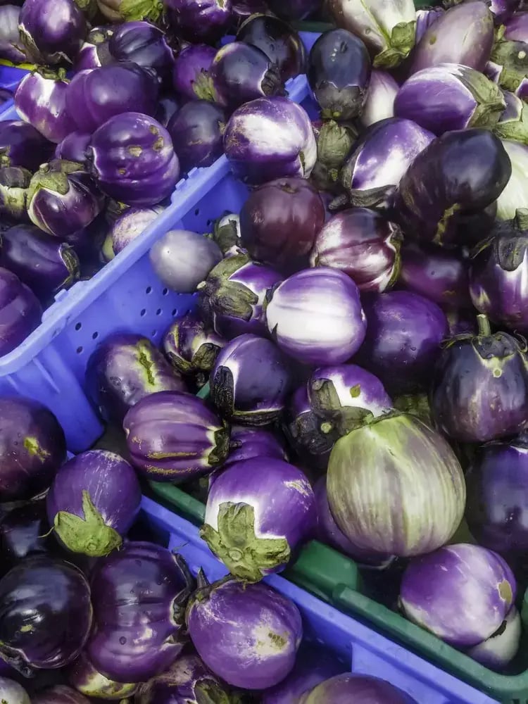 sicilian-eggplants-binomia