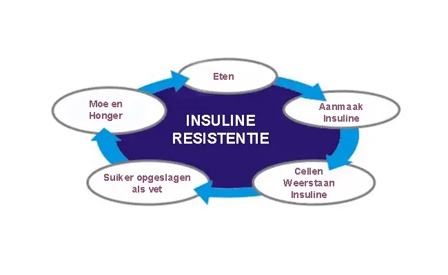 Insulineresistentie-1